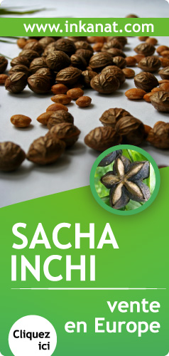 Sacha Inchi vente en Europe - Cliquez ici