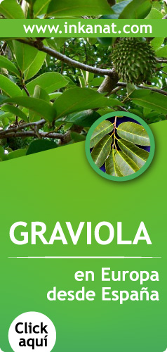 Comprar Graviola en Europa desde España Graviola en Europa desde España - Click aquí