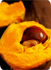 Lúcuma: Alimento contra la depresión