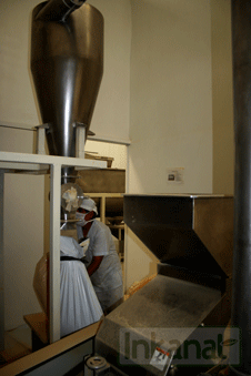 Procesamiento de Maca Gelatinizada: Extrusión 