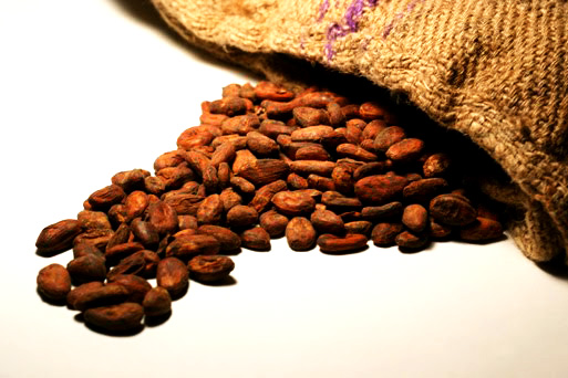 Amazonian Cocoa: Food for the Gods. A superfood with high energetic and nutritional value