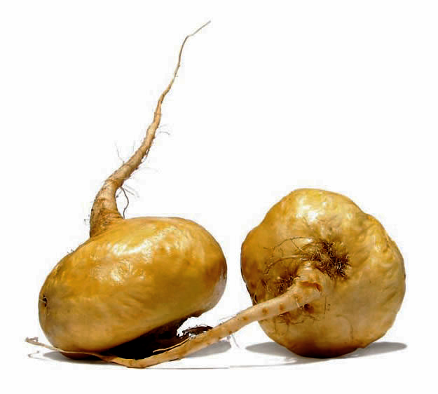 Maca: propriedades e dicas de uso
