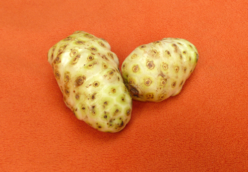 NONI QUALIT DI VITA