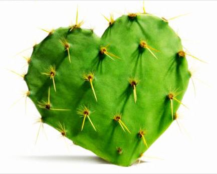 Nopal-blog Nopal: Bondades, propiedades y beneficios