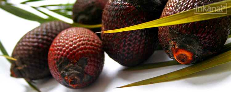 Aguaje Amaznico: Rico en Fitoestrgenos, mejora y moldea tu figura...Cpsulas y Aceite Cosmtico