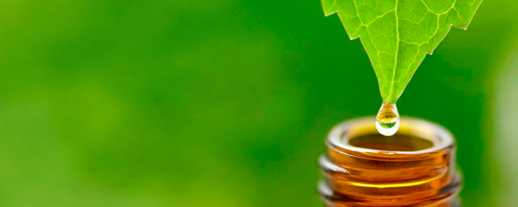 Aceites Esenciales: Tipos y Propiedades