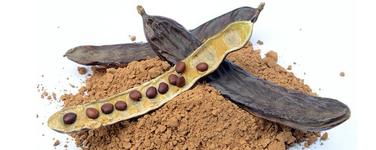 Propiedades y usos de la harina de algarroba