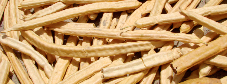 Valor nutritivo del algarrobo