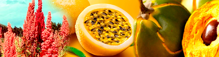 Alimentos Naturales Andino - Amaznicos