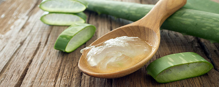 Aloe vera: la planta que te cuida y embellece