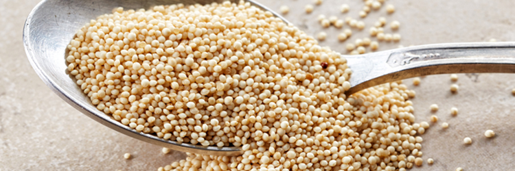 Amaranth: Food of the Future