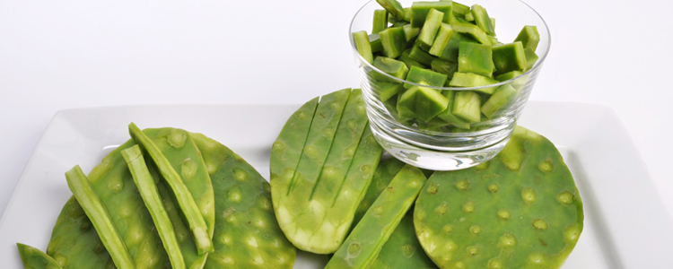 Nopal: Bondades, Propiedades y Beneficios