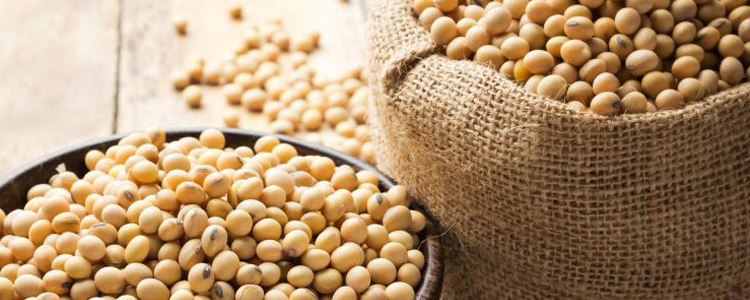 Isoflavones de Soja: Beneficios y Precauciones