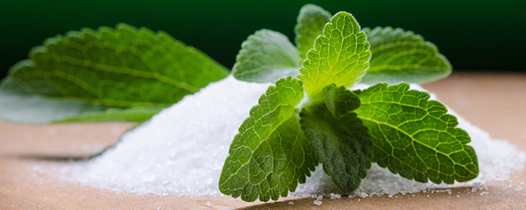 Stevia: Edulcorante contra la diabetes