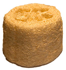 Eponge Naturelle de Luffa