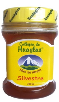 Miele Ecologica di ape Silvestre (500 gr)