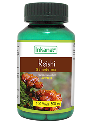 Reishi en Cpsulas (100 x 500mg) 