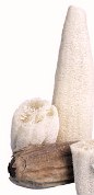 loofah