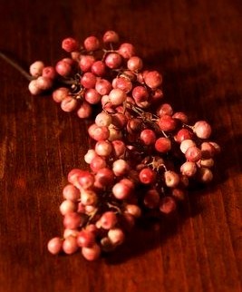 The fruit of the Camu Camu is one of the most promising discoveries that has attracted worldwide attention.