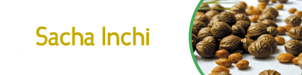 Sacha Inchi
