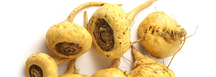 Maca: Properties and Contraindications...Natural multivitamin that promotes integral health to our body