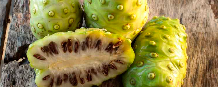 Amazon Noni : High in Xeronine, Properties and Contradictions