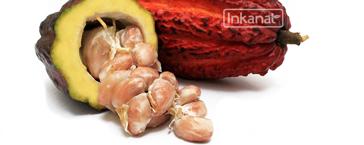 Cacao Amazónico: Alimento de los dioses. Alto poder nutritivo y energético. 