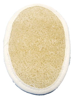 Loofah sponge body