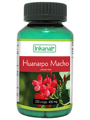 HUANARPO MACHO Jatropha (100 Cap. 400 mg)