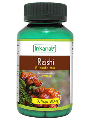 Reishi in Capsule (100 x 500 mg)